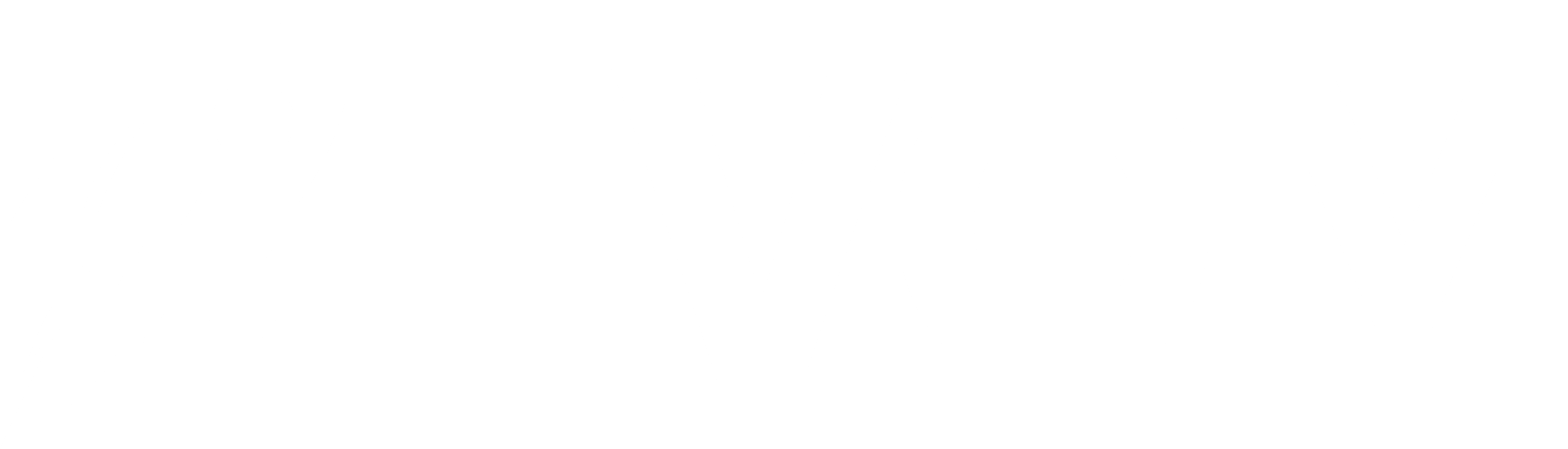 EVOM Logo